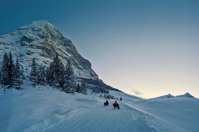 Private trip from Zurich to Jungfraujoch (The Top of Europe) - Key Things That Make This Trip Work