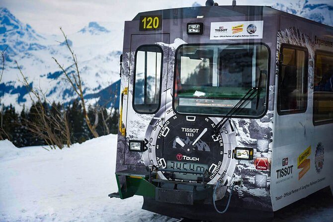 Private trip from Zurich to Jungfraujoch (The Top of Europe) - Driver-Guide Reality Check: Expect Help, Not a Full Historian