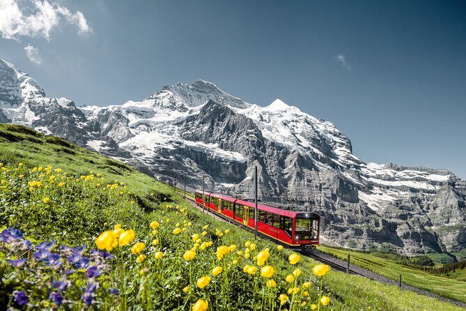 Private trip from Zurich to Jungfraujoch (The Top of Europe) - What You’ll See Across the Day (Without Getting Overbooked)