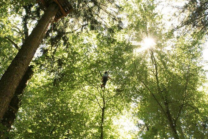 Ropes Park Interlaken - Key things I think are most worth your attention