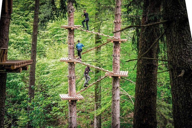 Ropes Park Interlaken - Nine Courses, One Big Session: What 2.5 to 3 Hours Really Means