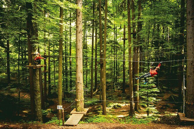 Ropes Park Interlaken - What You’ll Actually Do: Bridges, Tarzan Swings, and Zip Lines