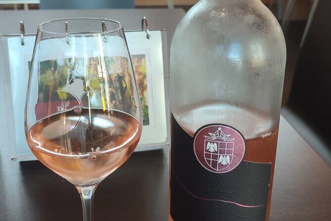 Swiss Vineyard Wine Tasting Tour in Vaud - A ten-hour Vaud mix of wine, views, and Chillon Castle