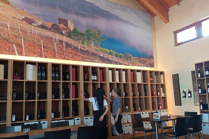 Swiss Vineyard Wine Tasting Tour in Vaud - Morges and Aigle: longer tastings where the day starts to click