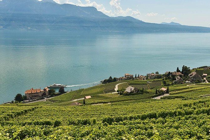 Swiss Wine Tasting at Lavaux Vineyards: Private Trip from Geneva - Geneva Pickup to Lake Geneva Drive: Comfort Comes First