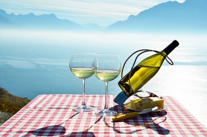 Swiss Wine Tasting at Lavaux Vineyards: Private Trip from Geneva - Why the Private Driver-Guide Makes This Feel Easy (Not Fancy)