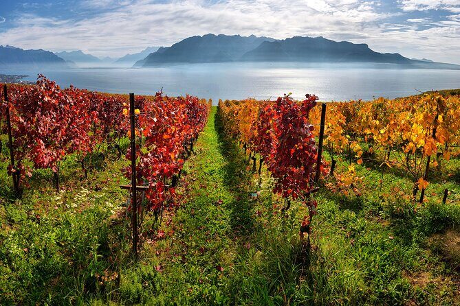 Swiss Wine Tasting at Lavaux Vineyards: Private Trip from Geneva - Price and Value: When $1,638.08 Makes Sense