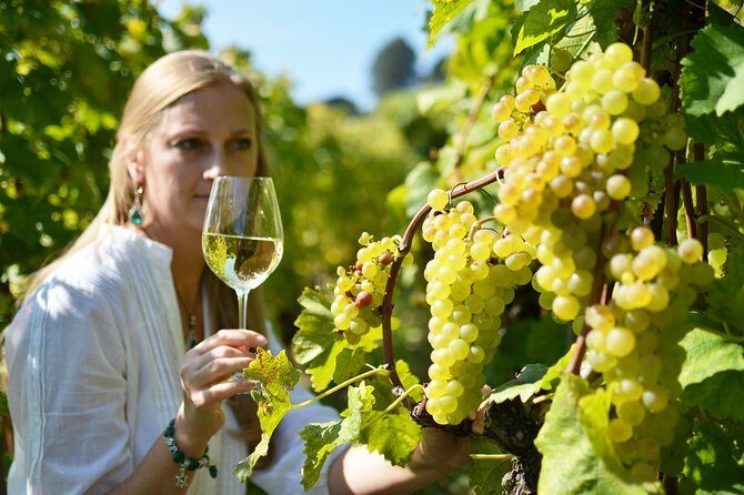 Swiss Wine Tasting at Lavaux Vineyards: Private Trip from Geneva - Weather Matters More Here Than You Might Expect