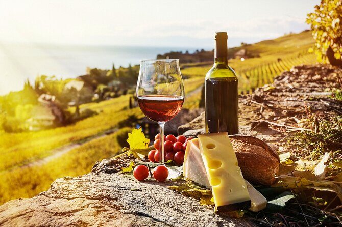Swiss Wine Tasting at Lavaux Vineyards: Private Trip from Geneva - The Lavaux Vineyard Terraces Stop: What You’ll See and Why It’s Worth the Effort