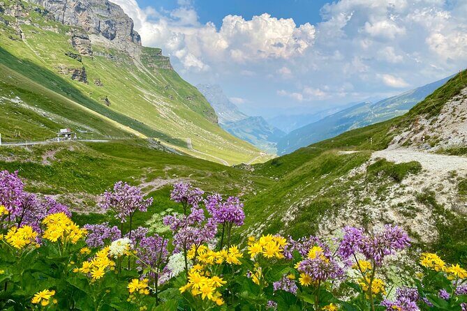 The natural wonders of Switzerland: private tour from Basel (1 day) - Canton of Uri: hidden valleys, glacial rivers, and an optional hike