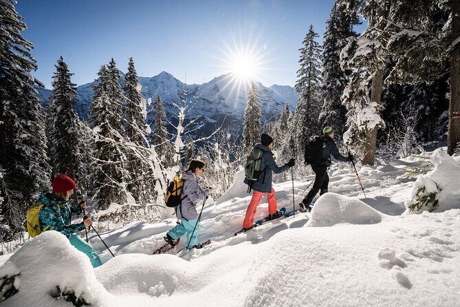 Winter Alpine Adventure - Snowshoeing Under the Eiger, Mönch, and Jungfrau