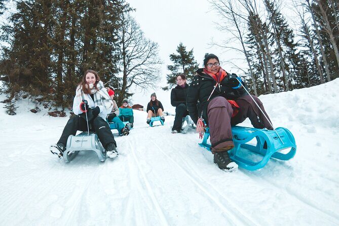 Winter Alpine Adventure - Sled Riding to Isenfluh (and the Mürren Backup)