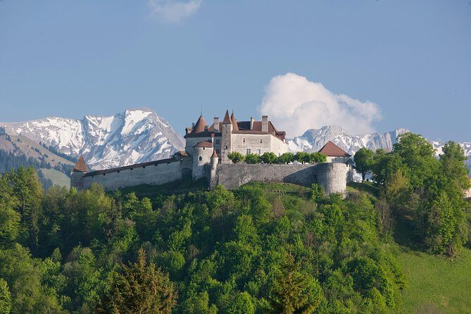 Winter Gruyères, chocolate & cheese tour from Lausanne - Price and value: $202 for a guided food day that’s actually organized