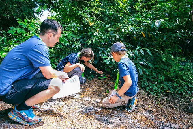 Zurich Foxtrail Hera - How the trail works: tickets, stamps, and your team setup