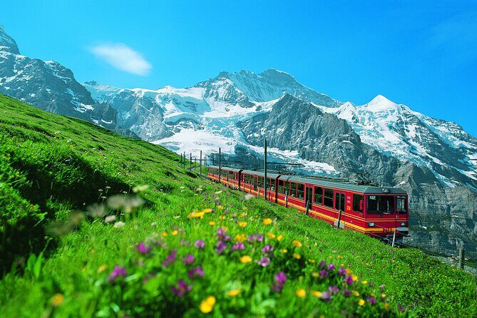 Zurich: Interlaken & Harder Kulm Small Group Tour - Key Things to Know Before You Go