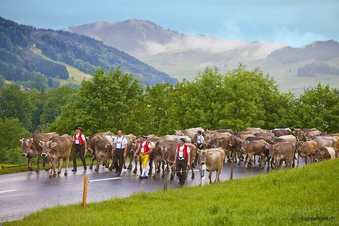 Zurich Open Top Bus, Chocolate and Cheese Factory Tour Appenzell - Getting Back to Zurich: A Long Day, But Built Around the Best Parts