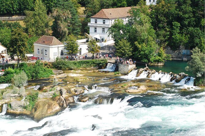 Zürich: Private Car Tour to Rhine Falls, Titisee and Black Forest - Key Highlights You Can Actually Use