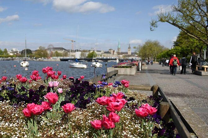 Zurich Sightseeing Private Walking Tour - Old Town Altstadt and Niederdorf: car-free lanes, bookstores, and evening energy