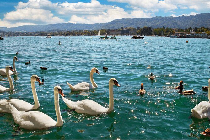 Zurich with Cruise and Lindt Home of Chocolate Private tour - Who this tour is best for (and who should rethink it)
